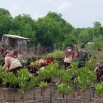MAN 2 Pati Gandeng Misaja Mitra Tanam 2.000 Mangrove di Pantai Keboromo