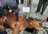 Memahami Esensi Kurban: Lebih dari Sekadar Bantuan Sosial