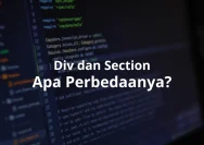 Mengenal Elemen Penting dalam Pengembangan Web: Peran  di MPL ID S17
