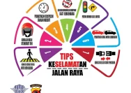 Mengerti Makna Warna di Jalan Raya untuk Keselamatan Berkendara