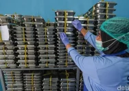 Modus Penipuan Titik Dapur MBG di Jabar: Korban Rugi Rp 1,9 Miliar