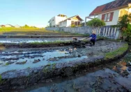 Momentum Baik untuk Pembukaan Lahan Pertanian di Bali pada Dewasa Ayu