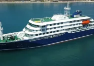 MV Hondius Menghadapi Wabah Virus Hanta: Solidaritas dan Kedisiplinan