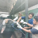 Pakar IPB Ingatkan Bahaya Limbah Kurban Iduladha yang Dibuang Sembarangan