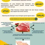 Panduan Ahli Gizi untuk Konsumsi Daging yang Aman dan Sehat