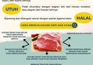 Panduan Ahli Gizi untuk Konsumsi Daging yang Aman dan Sehat