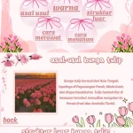 Panduan Lengkap Menanam dan Merawat Bunga Tulip di Rumah Anda