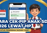 Panduan Praktis Cek Status Penerima PIP Mei 2026 Melalui HP