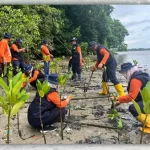 Pemkab Pinrang Tanggapi Cepat Ancaman Abrasi di Duampanua