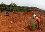 Penanaman Pohon Rembang: Upaya Komunitas Menghadang Tambang Batu di Lemah Putih, Sedan