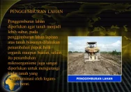 Penertiban Wilayah Tambang oleh Tim Halilintar dan Kejari Tanah Laut: Langkah Menuju Lingkungan yang Lebih Baik