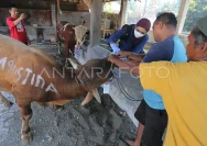 Pengawasan Ketat Dokter Hewan pada Pemotongan Hewan Kurban di Pati