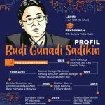 Profil Menkes Budi Gunadi Sadikin: Dari Pendidikan hingga Karier