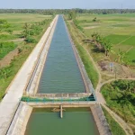 Proyek Cetak Sawah 1 Juta Hektare di Wanam: Langkah Strategis untuk Ketahanan Pangan Indonesia