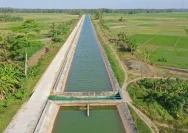 Proyek Cetak Sawah 1 Juta Hektare di Wanam: Langkah Strategis untuk Ketahanan Pangan Indonesia