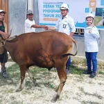 PT Indomarta Multi Mining Serahkan Hewan Kurban kepada Masyarakat Banjar dan Banjarbaru