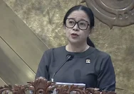 Puan Maharani Minta Pemerintah Mitigasi Hantavirus, Risiko dan Dampaknya