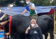 Raffi Ahmad Memilih Hewan Kurban Spesial Jelang Iduladha di Peternakan Irfan Hakim