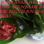 Rahasia Daging Kurban Empuk dengan Daun Pepaya yang Wajib Diketahui
