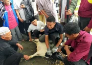 Ritual Doa dan Penyembelihan Hewan Kurban yang Menghentak Hati di Indonesia
