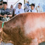 Sapi Kurban Presiden Prabowo Diberikan kepada 450 Keluarga di Rembang