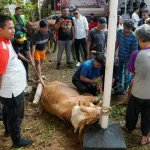 Semangat Berbagi Daging Kurban Gerindra di Semarang: Dari Gang Sempit ke Pelosok Kampung