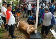 Semangat Berbagi Daging Kurban Gerindra di Semarang: Dari Gang Sempit ke Pelosok Kampung
