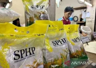 Stabilitas Harga Beras SPHP: Bapanas Jamin Tidak Terpengaruh Dolar AS
