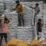 Surplus Pangan Indonesia Tembus 4,98 Juta Ton, Beras 5 Juta Ton