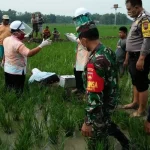 Tragedi di Grobogan: Petani Meninggal Dunia Saat Menggali Sumur di Sawah