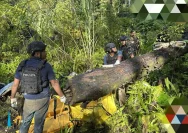 Tragedi di Yahukimo: Delapan Pendulang Emas Tewas Diteror KKB OPM