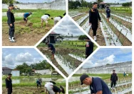 Transformasi Lahan Sempit Lapas Pati Menjadi Kebun Produktif untuk Ketahanan Pangan