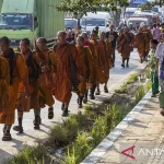 Uniknya Biksu Thailand Ritual Pagi Bersama Anjing Kuil di Pathum Thani
