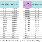 Usia Ideal untuk Hamil: Fakta Medis dan Pertimbangan Penting