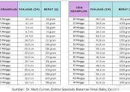 Usia Ideal untuk Hamil: Fakta Medis dan Pertimbangan Penting