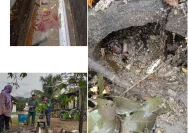 Warga Rembang Protes Dapur MBG yang Menimbulkan Bau dan Kebisingan