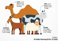 Warga Towuti Luwu Timur Berqurban 603 Hewan Menjelang Idul Adha, Angka Ini Diperkirakan Akan Meningkat