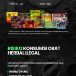 Waspada! 22 Obat Herbal Ilegal Berbahaya Ditemukan di Pasaran