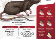 Waspada Gejala Virus Hanta: Belajar dari Kasus Kapal Pesiar Hondius