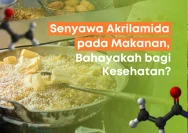 Waspadai Akrilamida dalam Makanan yang Digoreng: Bahaya dan Cara Menghindarinya