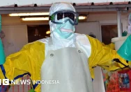 WHO Menetapkan Ebola sebagai Darurat Kesehatan Global, Kemenkes Siap Hadapi Ancaman