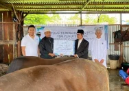 YBM PLN UID Sulselrabar Luncurkan Program Tebar Berkah Daging di Idul Adha 1447 H