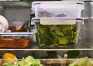 7 Kebiasaan Menyimpan Makanan di Dapur yang Diam-Diam Picu Risiko Kanker