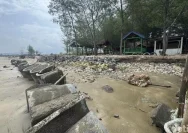Abrasi Pantai Caruban: Pedagang Harapan Terus Mencari Solusi