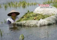Audiensi DPRD Pati Tegang, Dugaan Kurang Transparan Bantuan Petani Terdampak Banjir