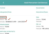 Cek Bansos BPNT Secara Langsung di Kantor Lurah: Cara Mudah dan Efektif