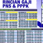 Gaji PPPK Berpeluang Ditanggung APBN, Pegawai Daerah Lepas Kekhawatiran PHK