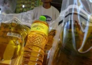 Harga CPO Melejit Terus Meningkat, Masyarakat Siap-siap Hadapi Naiknya Harga Minyak Goreng