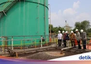 Holding Perkebunan Nusantara dan BRIN Kaji Pengembangan CBG Limbah Sawit di Riau untuk Meningkatkan Energi Hijau