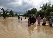 Hujan Kencang Melanda Kalsel, Warga Diminta Waspada